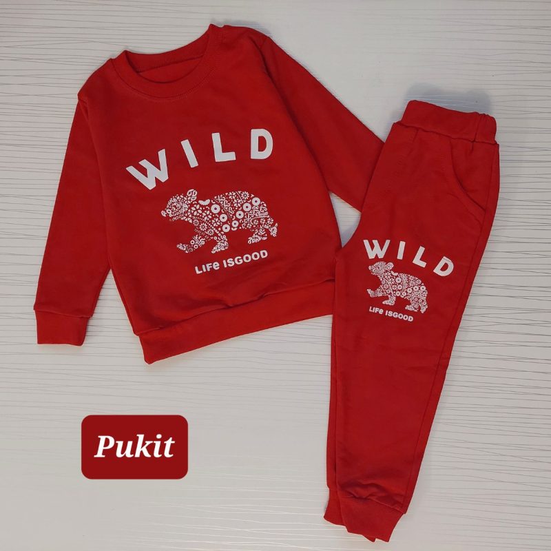 بلوز شلوار پسرانه طرح خرس جنگلی(۲ تا ۸ سال) - Image 4