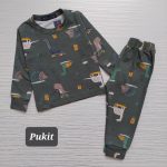 بلوز شلوار پسرانه طرح دایناسورها(1تا8سال) - Image 6