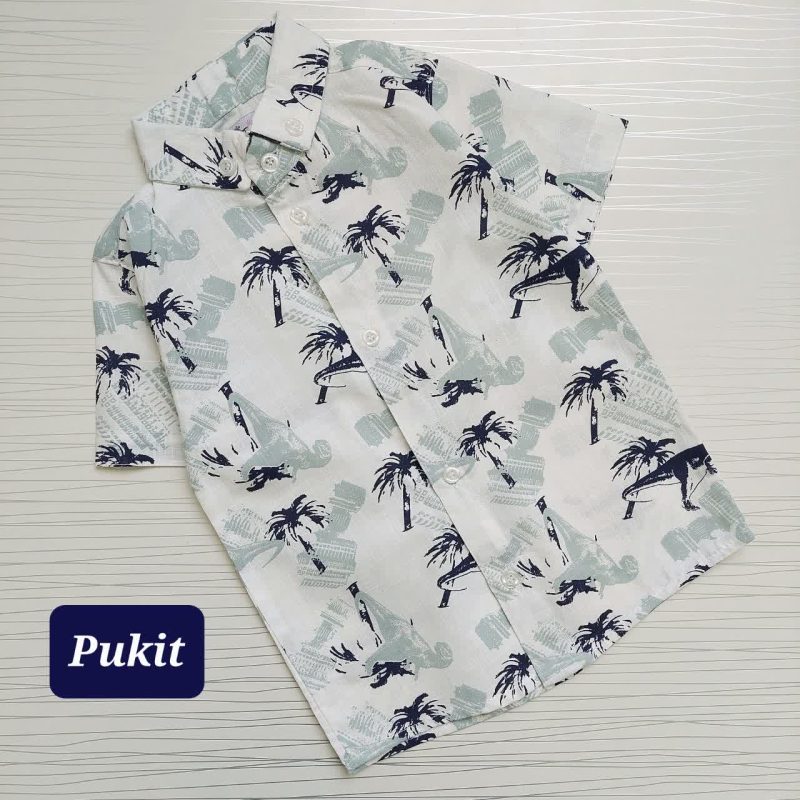 شومیز تک پسرانه هاوایی طرح دایناسور(2 تا 12سال) - Image 8