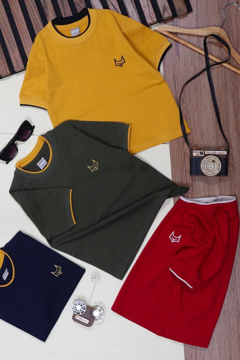 تیشرت تک پسرانه طرح آرتین(1تا5سال) - Image 2