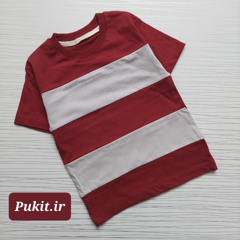 تیشرت دورنگ هومن (2 تا 9 سال) - Image 6